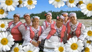 Любовь-зелёный клён.