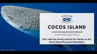 Join us in Cocos Island