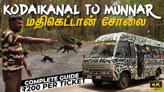 Kodaikanal Forest Van Safari | Mathikettan Solai | Breijam Lake | Kodaikanal Tourist Places In Tamil
