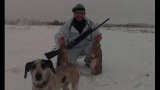 (18+) ЗАЯЧЬЯ БЛОКАДА... ОХОТА НА ЗАЙЦА (декабрь)-2016... Hunting 2016 for fur-bearing animals...