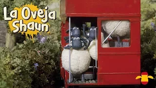 Una Oveja Suelta - La Oveja Shaun