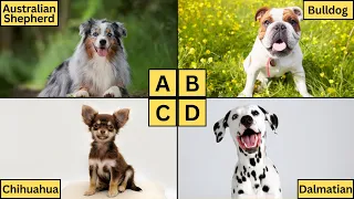 ABC Dogs | Learn Alphabet from A to Z | Dog Breeds for Kids