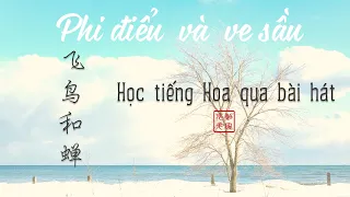 Học hát tiếng Trung _ Phi Điểu & Ve Sầu