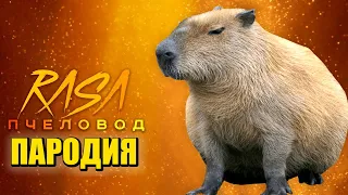 Песня Клип КАПИБАРА Rasa - Пчеловод ПАРОДИЯ / Capybara