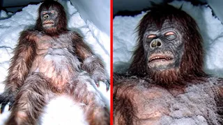 What They Discovered Frozen in Ice Shocked the Whole World!