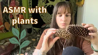 Whispered ASMR triggers from my garden 🌿 Plant sounds, breaking sticks, pinecones, leaves 🌾