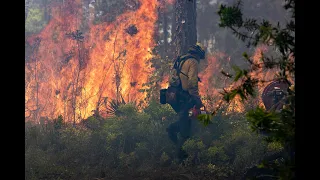 St. Joseph Bay State Buffer Preserve | Prescribed Burn