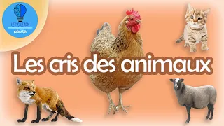 Les cris des animaux | Let's Learn