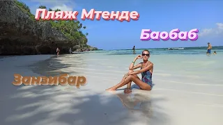 Пляж Мтенде, Занзибар. Mtende beach. Огромный баобаб в деревне Мтенде.