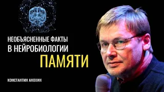 «Наука о памяти». Константин Анохин