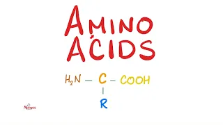 Amino Acids (Part 2) | Classification | Biochemistry MCAT