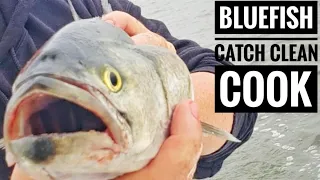 BLUEFISH IN THE BAY/HOW TO FILET A BLUEFISH (CATCH, CLEAN & COOK)