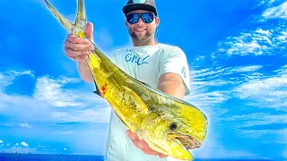 Epic South Florida Offshore Fishing!  | Catch Clean Cook