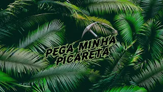 PEGA MINHA PICARETA ⛏️ - DEEJAY TELIO - RENNAN DA PENHA - SAVANAH
