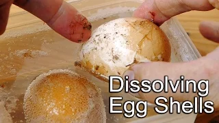 Egg Shell Science Experiment - Dissolves in Vinegar