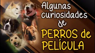 Algunas curiosidades de Perros de Película