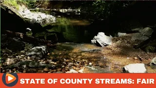 Nature Forward Releases State of the Streams Report for Washington Metro Area