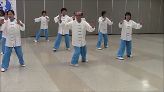 Traditional Yang Style Taijiquan 28 Form