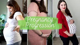 Pregnancy Progression Week by Week Baby Bump Baby #3