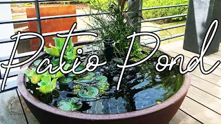 Patio Pond with Fish - 3 Month Update - 4K