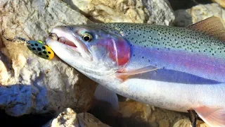 Küçücük Gölletten Dev Alabalıklar Yakaladık / Small Pond Trout Fishing