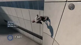 this is what 100,000 hours of skate 3 looks like