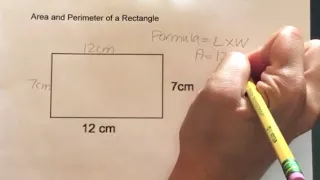 How to find the Area and Perimeter of a Rectangle