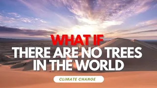 What If There Are No Trees in the World | Climate Change | Planting Trees || InfoSeek