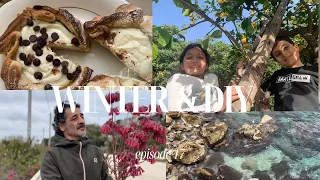 SICILIAN CHRONICLES:WINTER DAYS, DIY & LIFE IN SICILY, EPISODE 17