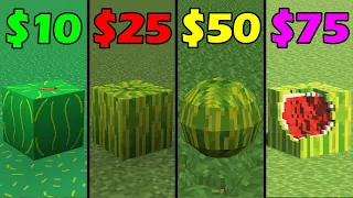 minecraft for 0$ vs 10$ vs 25$ vs 50$ vs 100$