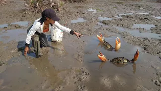 Unique Fishing - Catching A Lot Of Huge Mud Crabs at Swamp after Water Low Tide | The Fishing Videos
