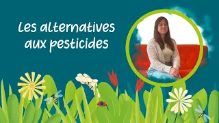 Alternatives aux pesticides au jardin 🌱