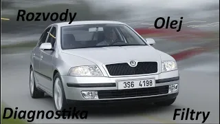 Škoda Octavia 2 1,9TDi - Výměna rozvodů , filtrů a přezutí