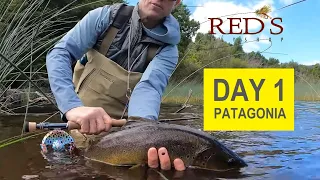 Brown Trout Caught on Mouse Patterns // Patagonia Day 1, 2024