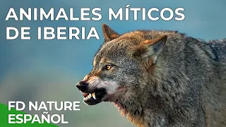 Animales Míticos de Iberia | Free Documentary Nature Español