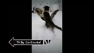 to be continued meme compilation
