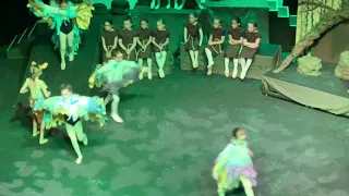 Animals in The Forest Dance - Evening Performance