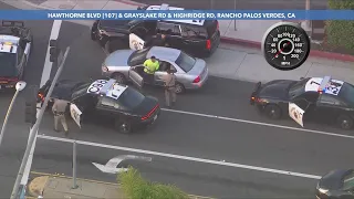 Driver in L.A. pursuit in custody after scuffle with officers