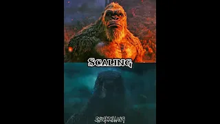 Godzilla (KOTM) vs Kong (GXK) |#godzillaxkongthenewempire #godzillakingofthemonsters