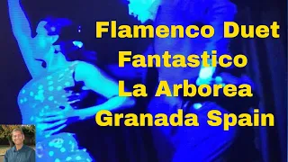 Fantastic Flamenco Duet, Powerful Dancers, La Arborea, Granada, Albaicin, La Alahmbra, #shorts