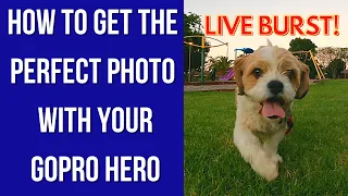 How to get the perfect photo using GoPro Hero Live Burst