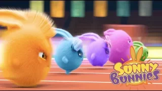 Cartoons for Children | Sunny Bunnies SUNNY BUNNIES THE BIG RACE | Funny Cartoons For Children