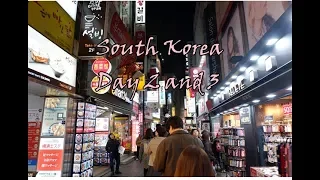 Vlog#6: South Korea Day 2 and 3 (Everland!)