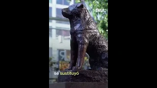 La historia de Hachikō