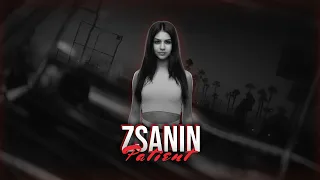 Zsanin - Patient