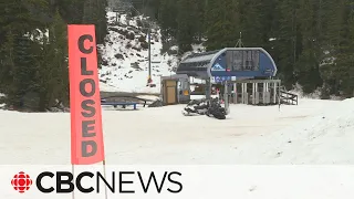 Lack of snow in parts of B.C. taking toll on ski resorts, businesses