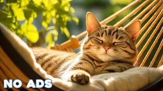 12 Hours Calming Music for Cats - Relaxation, Deep Sleep, Stress Relief, Peaceful Piano Music