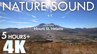 EARTH SOUND Mt St. Helens Nature Sounds Birds Singing 5 Hours Relaxation