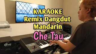 Che Tao - Liu Wen Cen | Karaoke HQ Audio | Remix Dangdut Mandarin