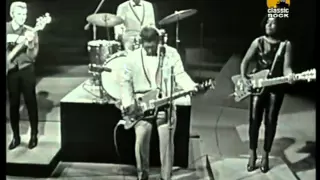 Bo Diddley   Road Runner Live